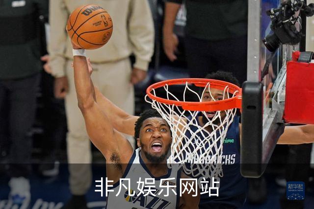 非凡娱乐网站公司介绍图